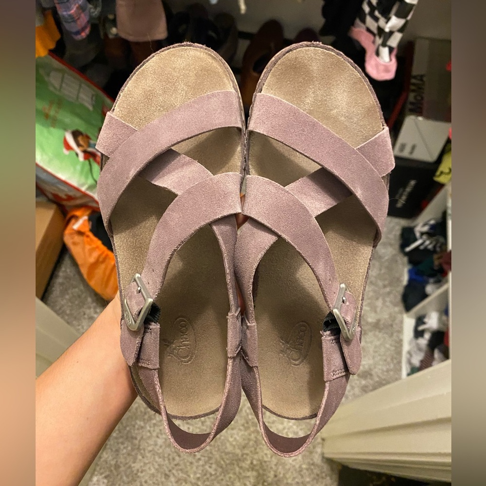 Chaco wayfarer